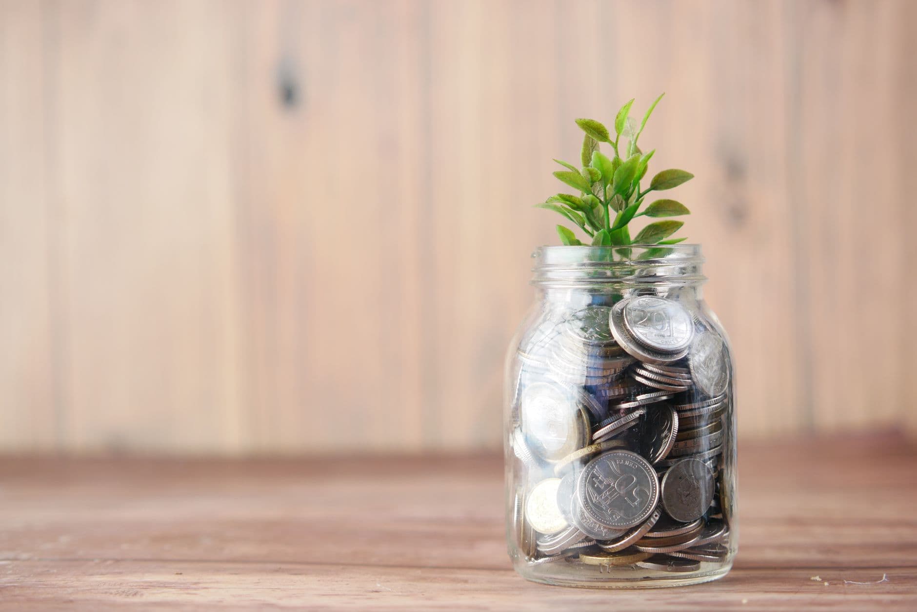 A jar of coins with a small plant growing from it
