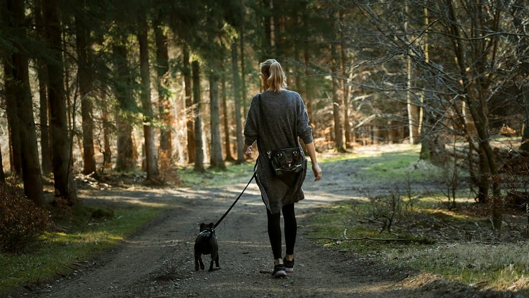 A woman walking a black labrador on a path